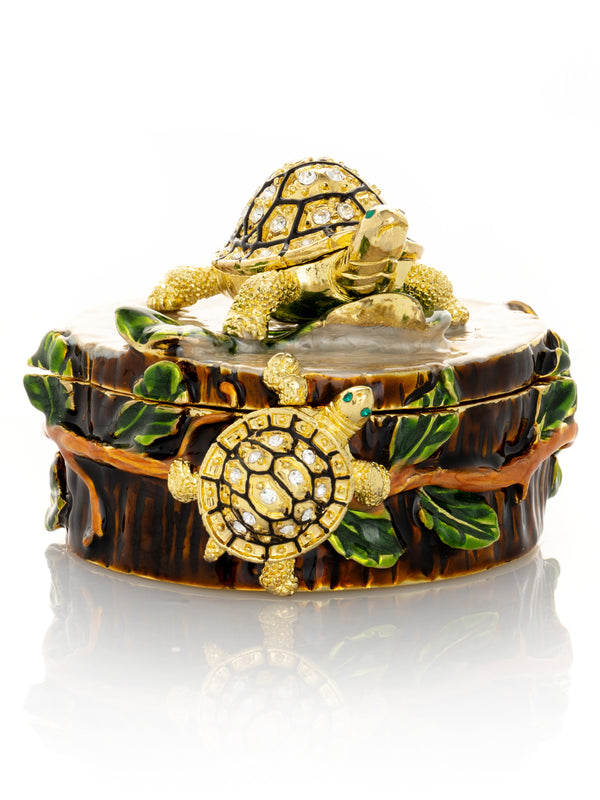 Keren Kopal Turtles on Tree Trunk