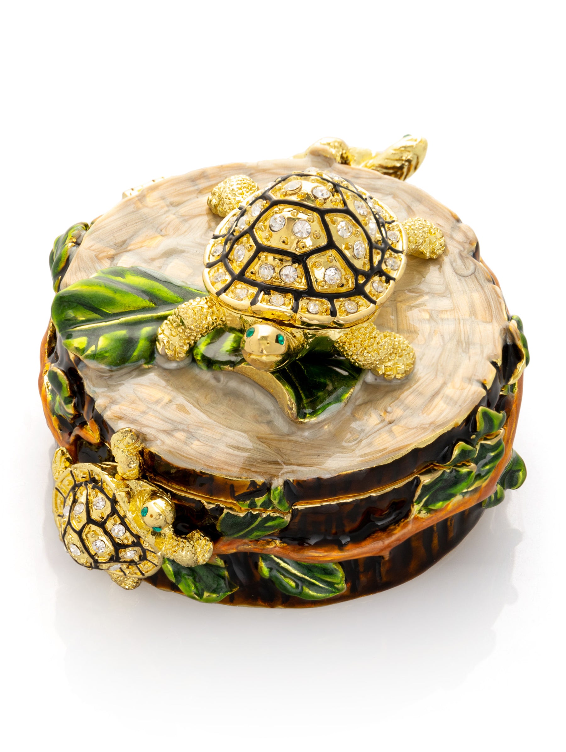 Keren Kopal Turtles on Tree Trunk