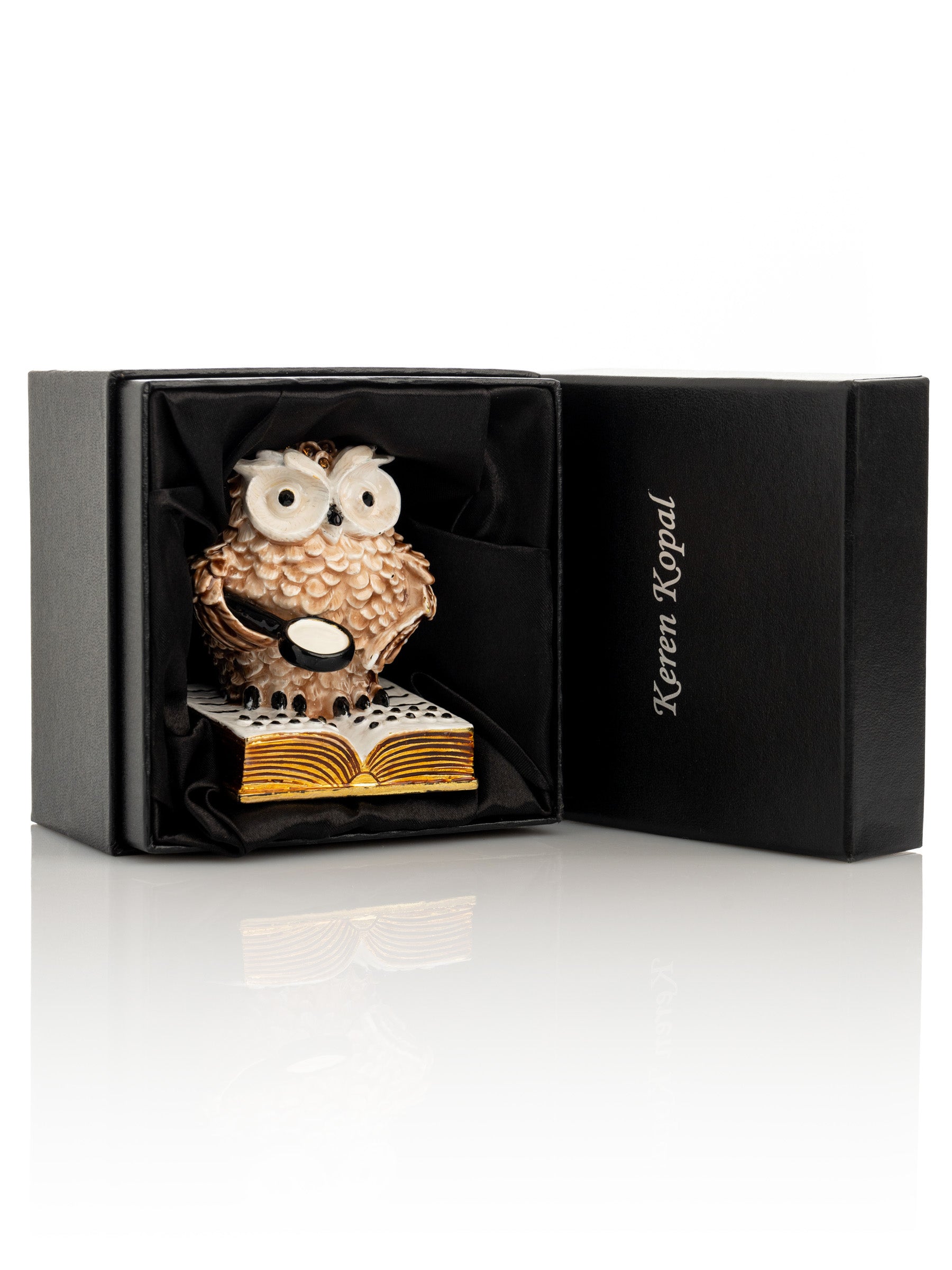 Keren Kopal Owl Reading a Book