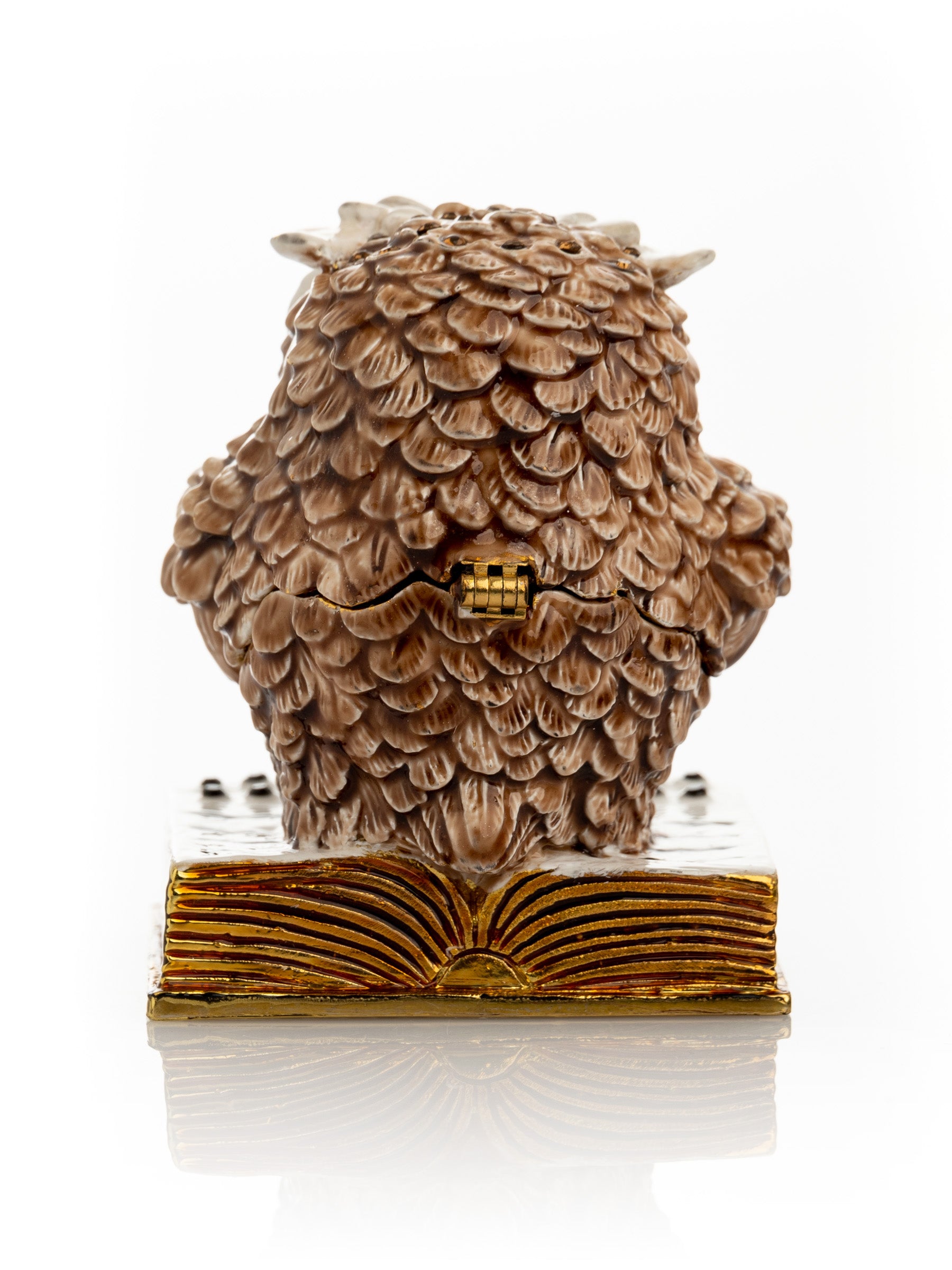 Keren Kopal Owl Reading a Book