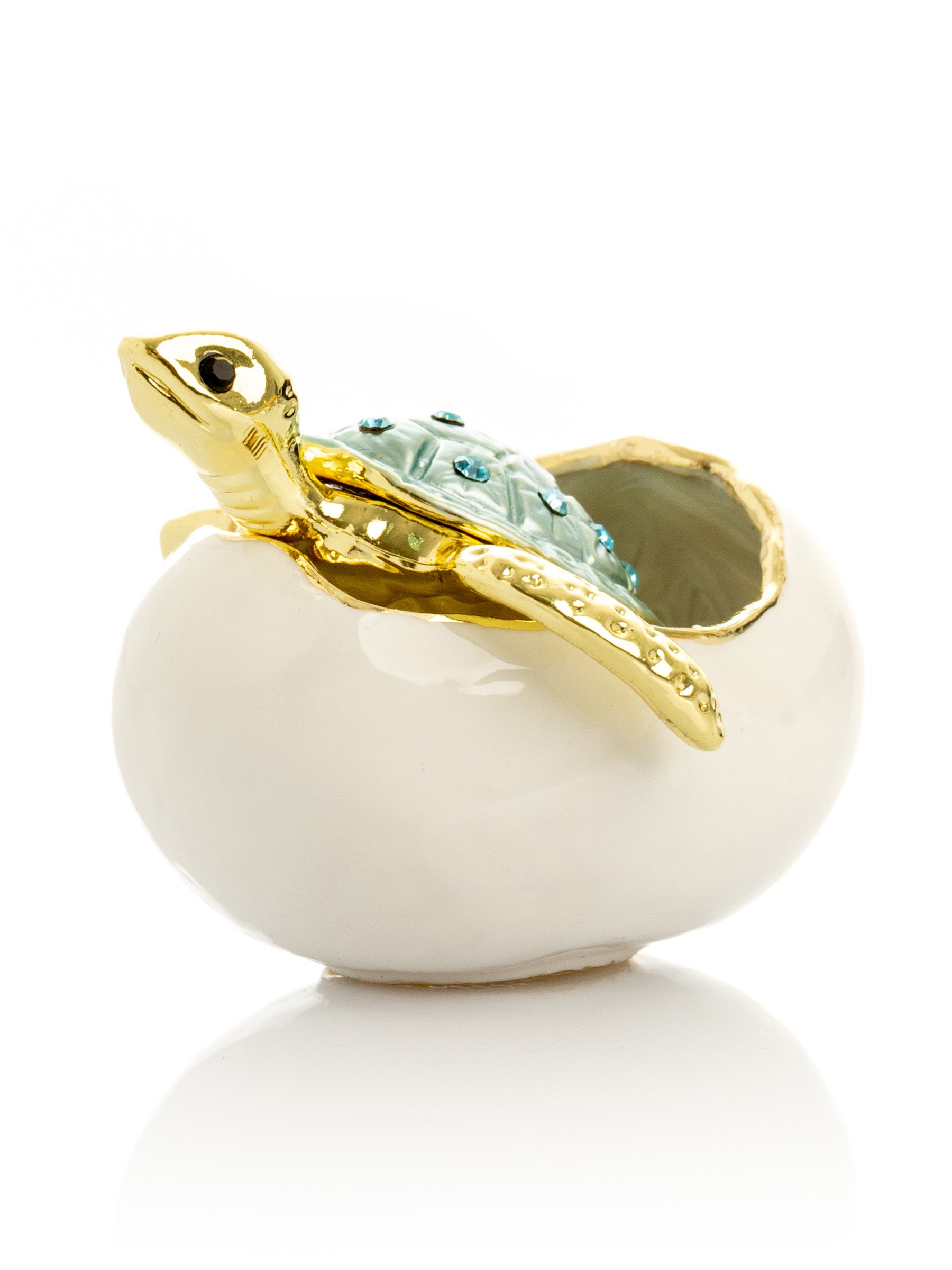 Keren Kopal Turtle hatching from an egg