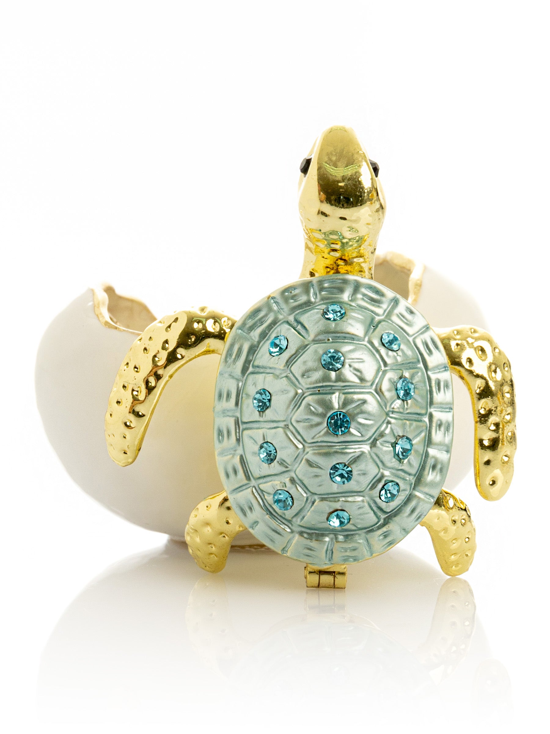 Keren Kopal Turtle hatching from an egg