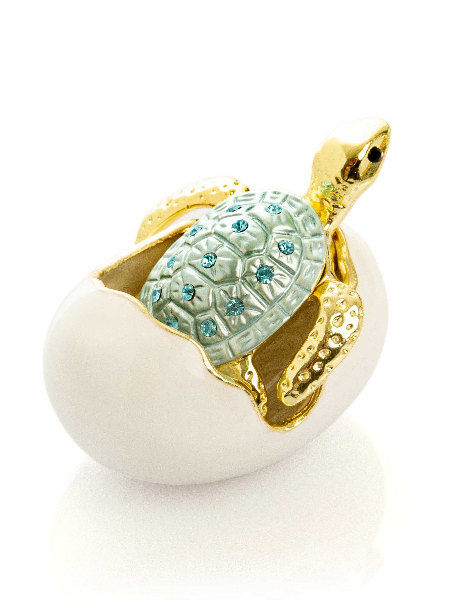 Keren Kopal Turtle hatching from an egg