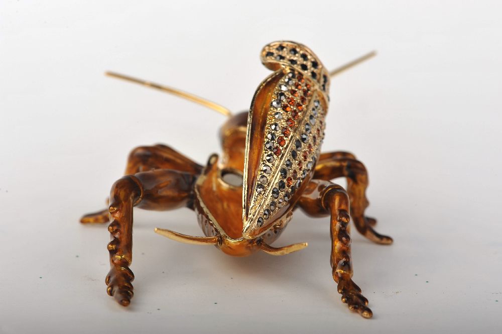 Keren Kopal Amber Grasshopper