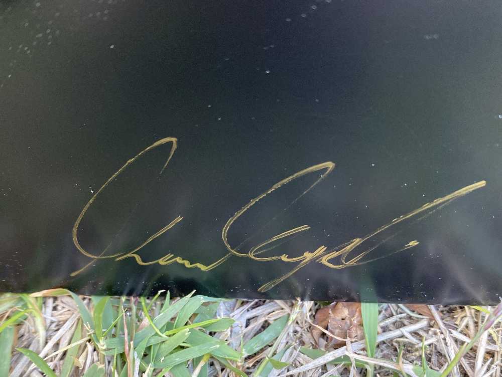 Keren Kopal Circle of Butterflies Wall Art Black