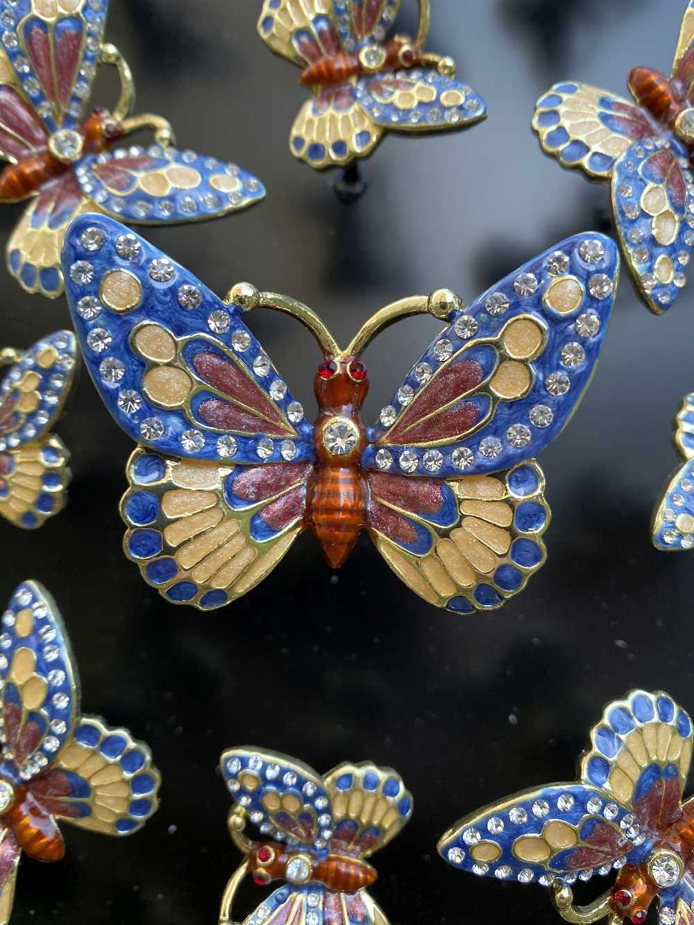 Keren Kopal Circle of Butterflies Wall Art Black