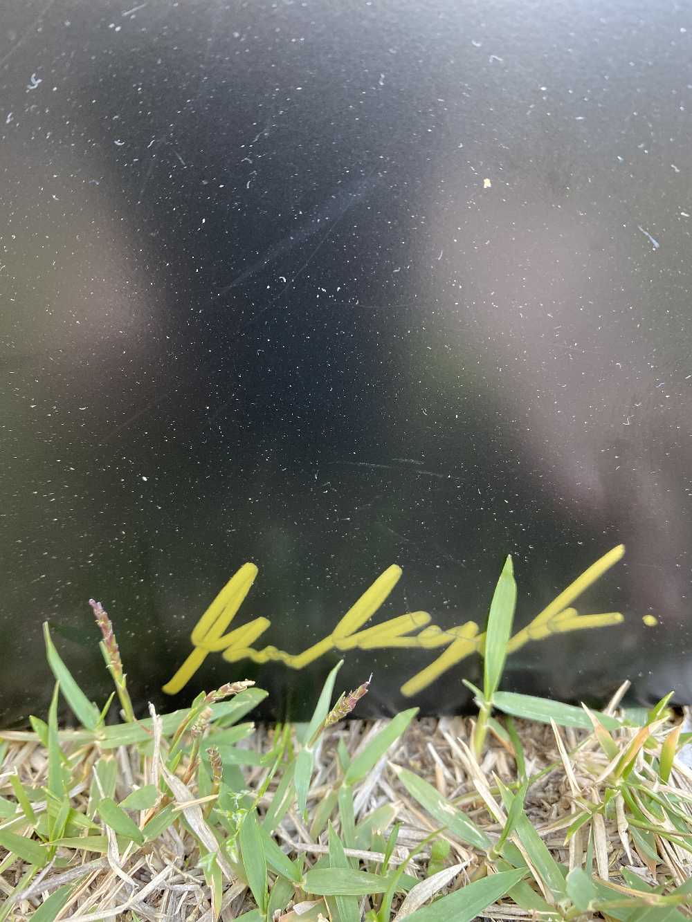 Keren Kopal Heart of Love and Life Wall Art Black