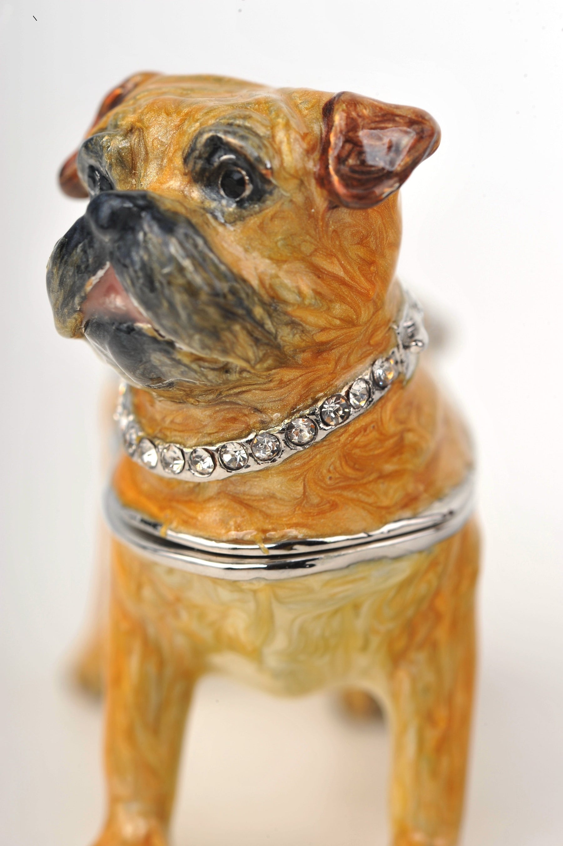 Keren Kopal Bulldog Dog