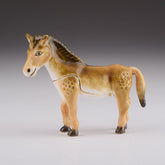 Keren Kopal Brown Donkey