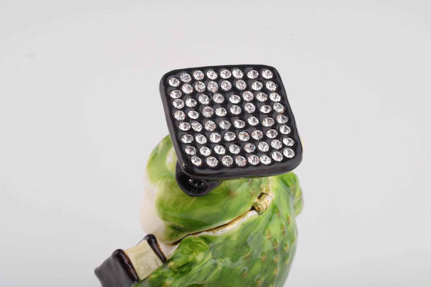 Keren Kopal Frog Graduating Student