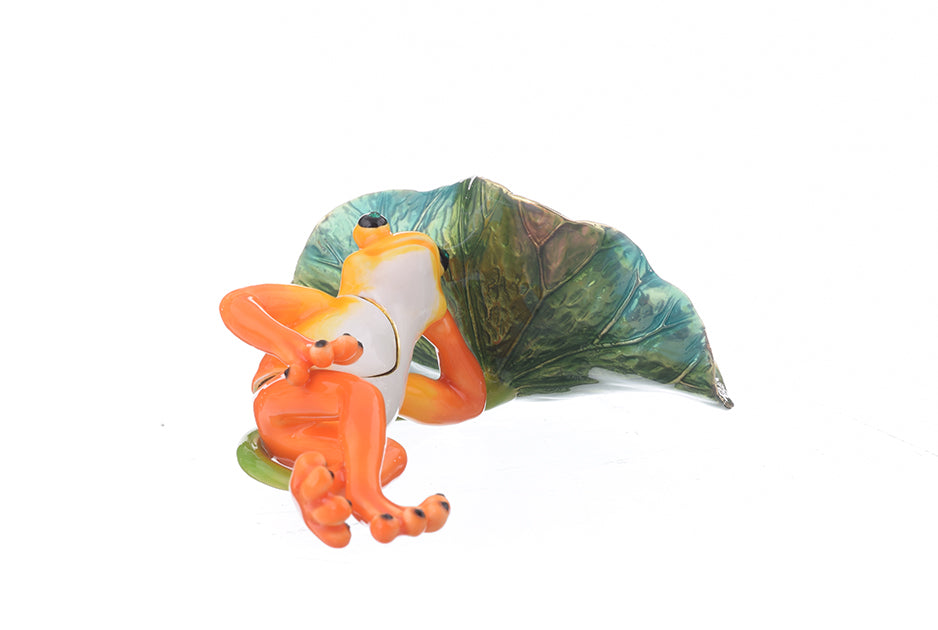 Keren Kopal Frog Lying on Leaf