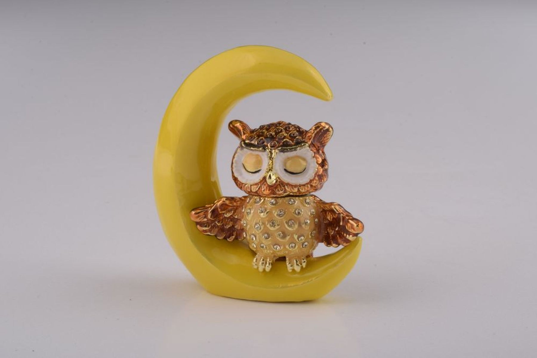 Keren Kopal Owl Sleeping on Moon