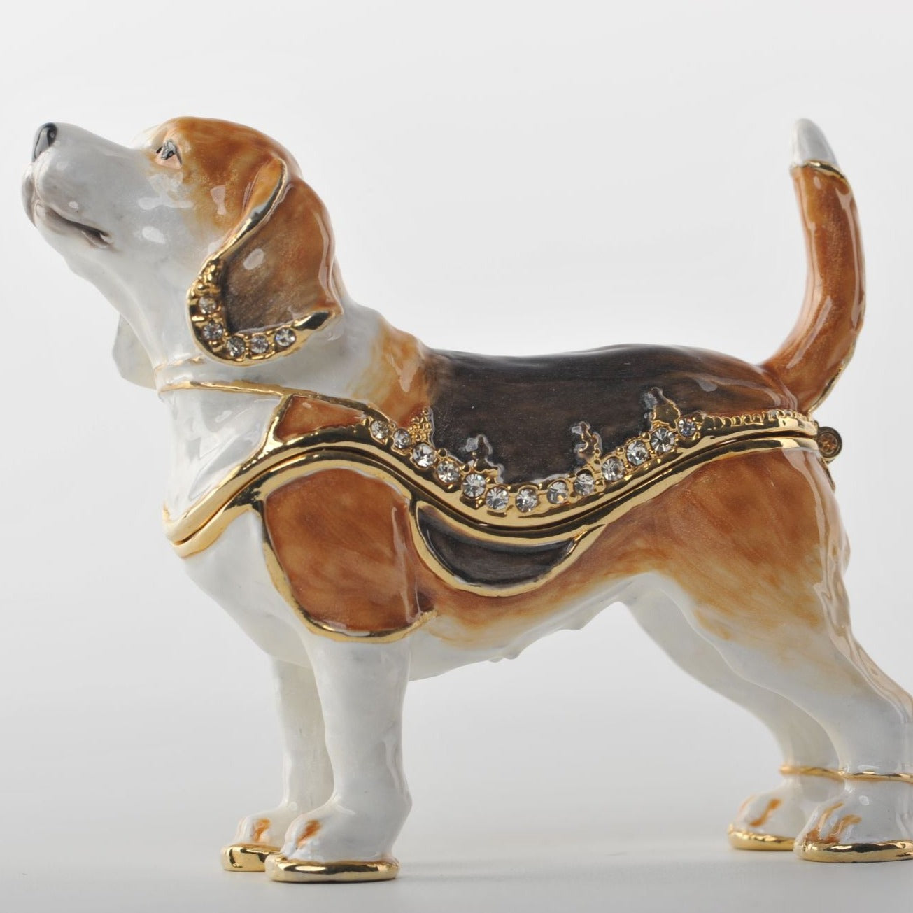 Keren Kopal Brown & White Dog