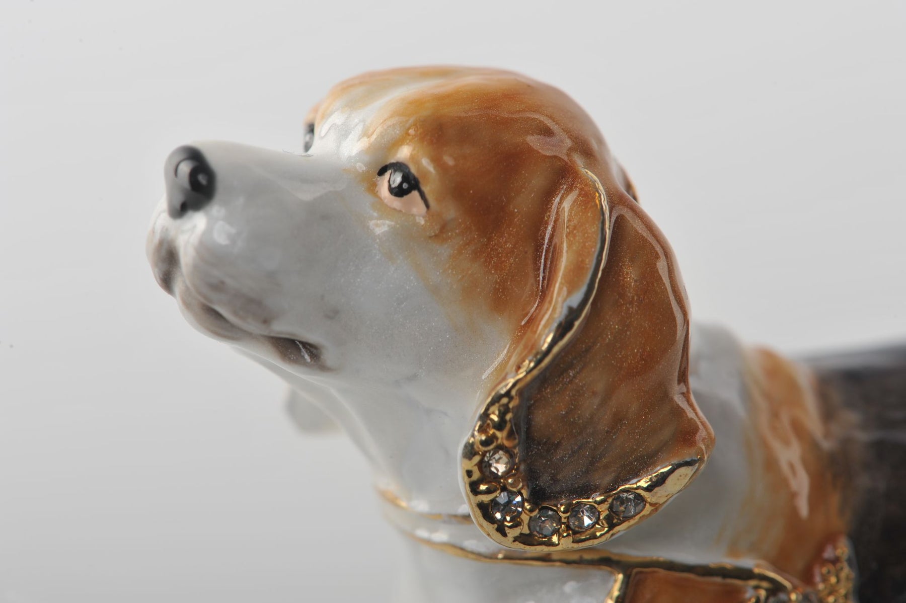 Keren Kopal Brown & White Dog