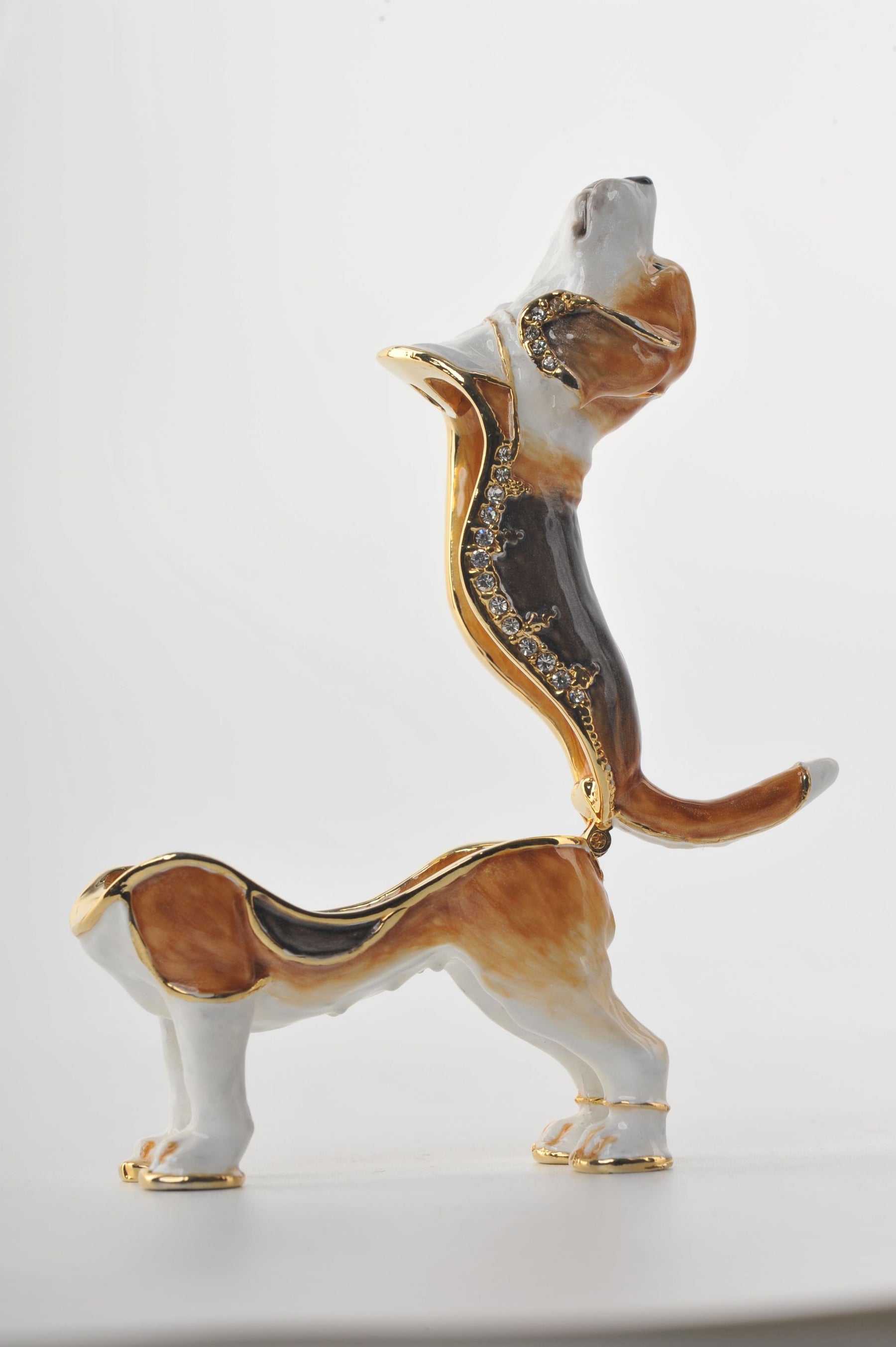 Keren Kopal Brown & White Dog