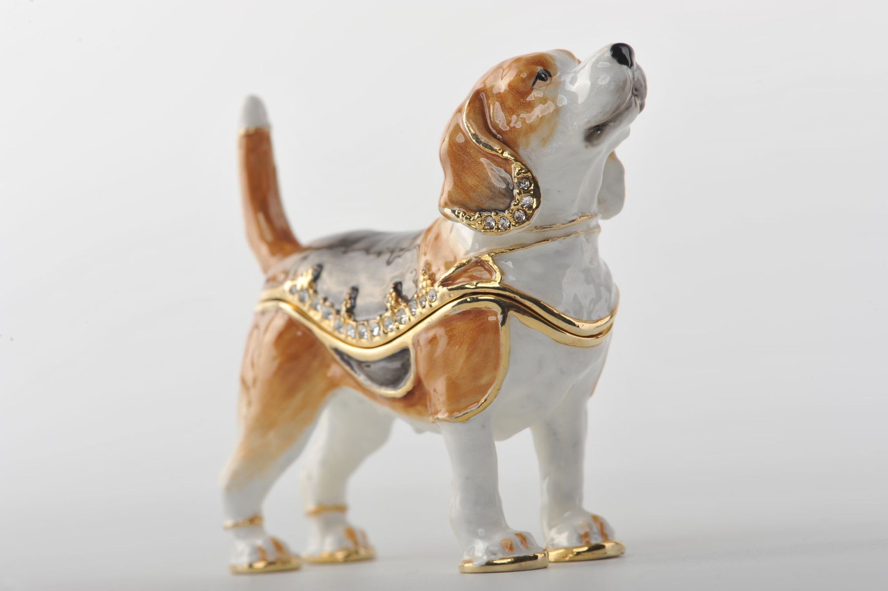 Keren Kopal Brown & White Dog