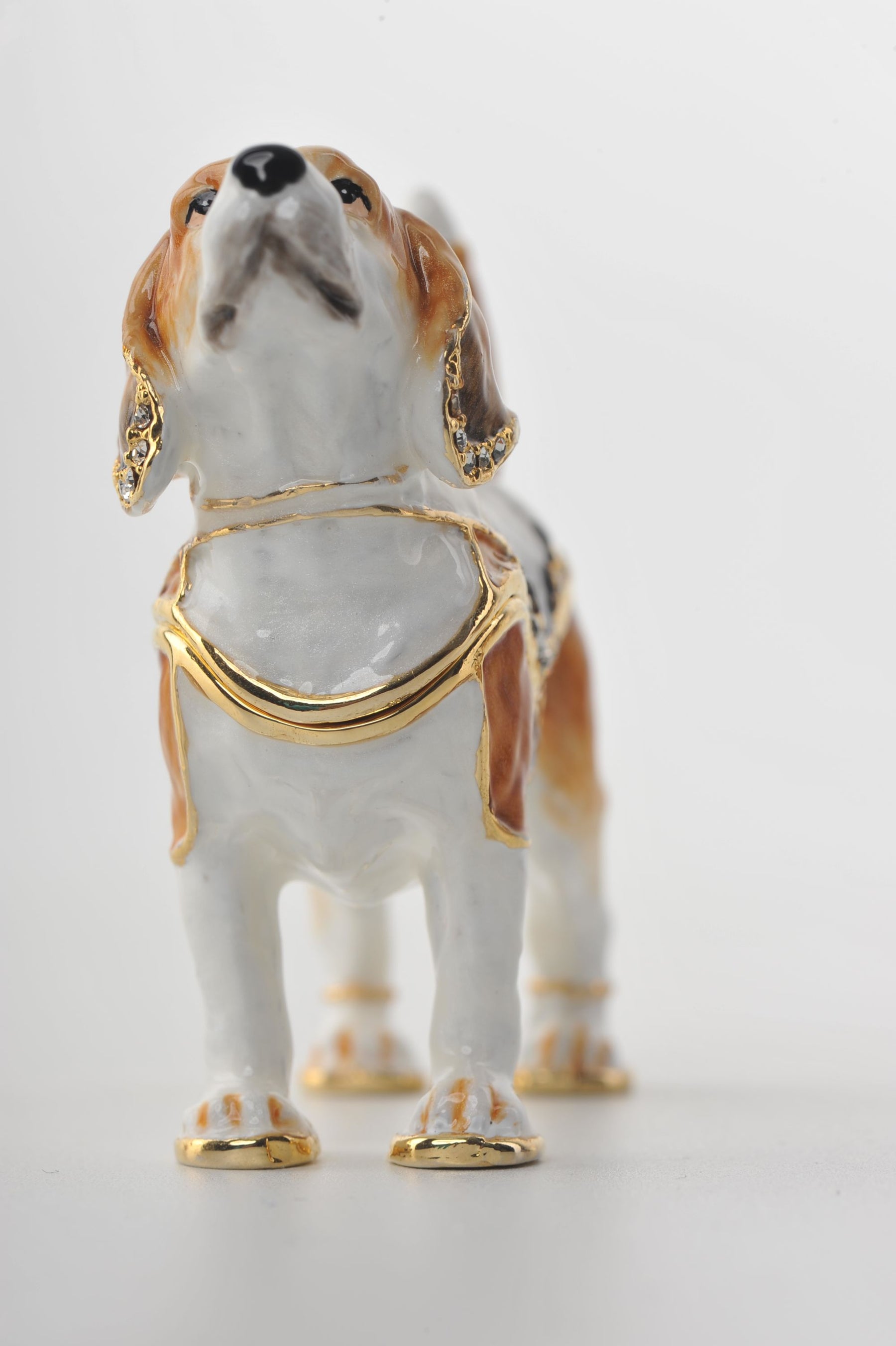 Keren Kopal Brown & White Dog