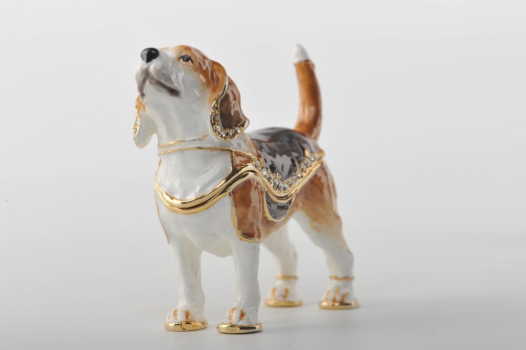 Keren Kopal Brown & White Dog