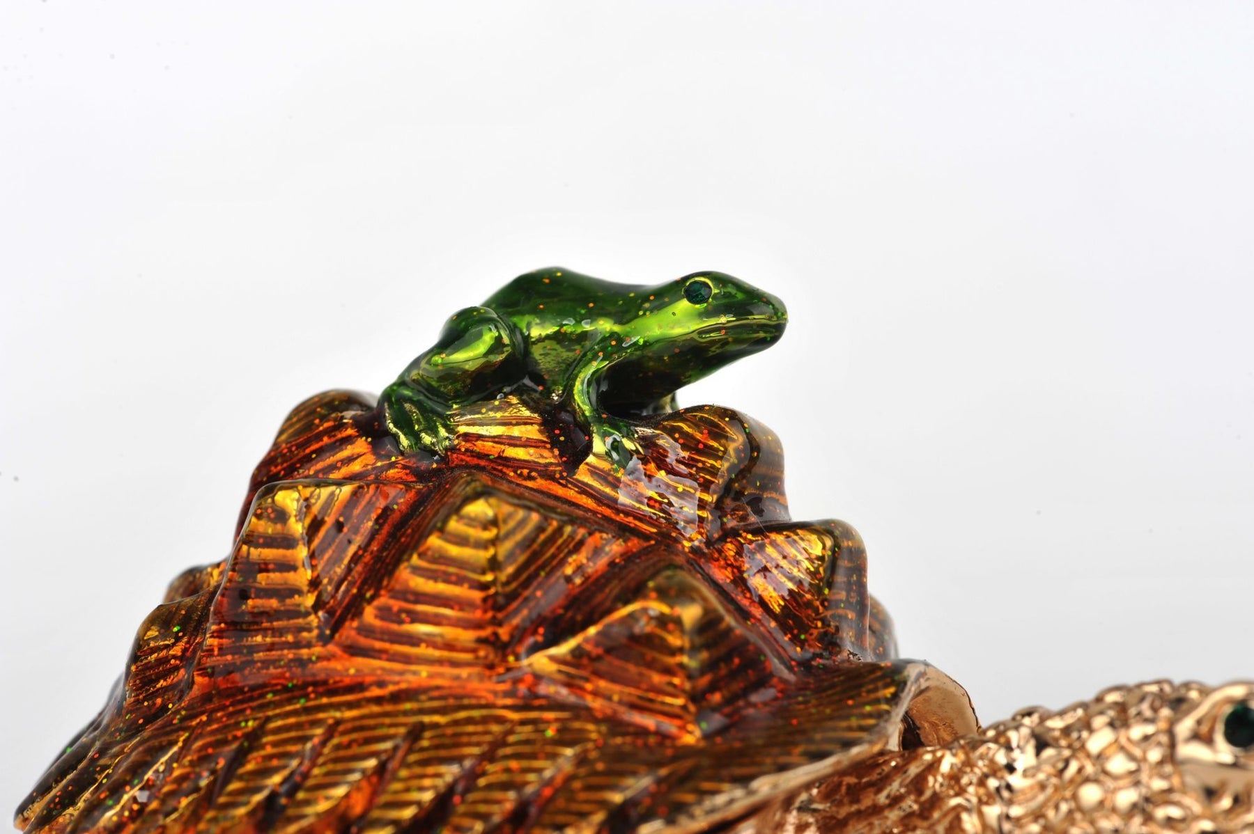 Keren Kopal Frog on a Turtle