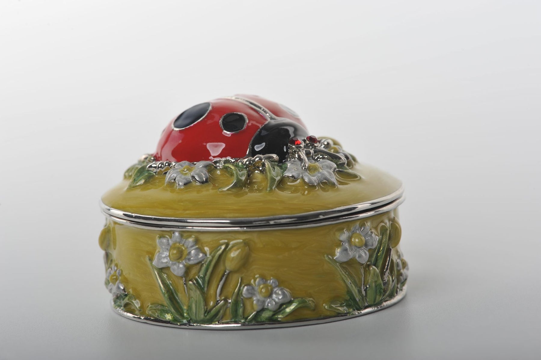 Keren Kopal Green Box with Red Ladybug