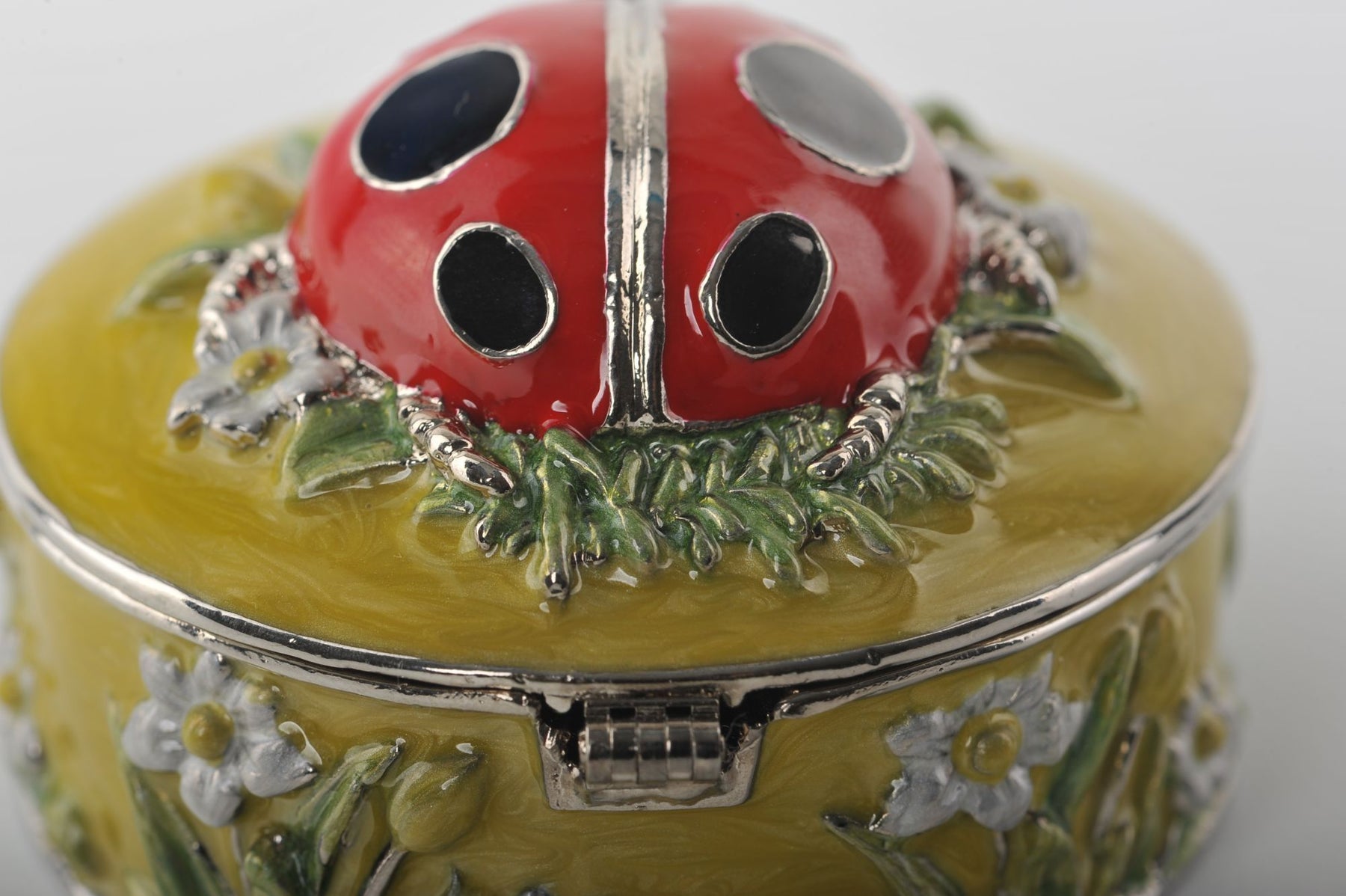 Keren Kopal Green Box with Red Ladybug