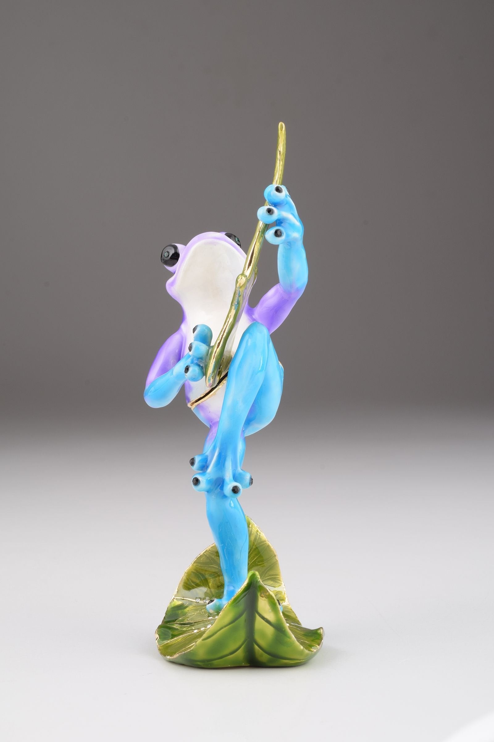 Keren Kopal Guitar Playing Frog