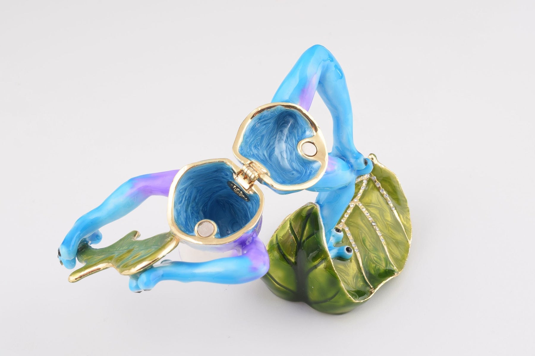 Keren Kopal Guitar Playing Frog