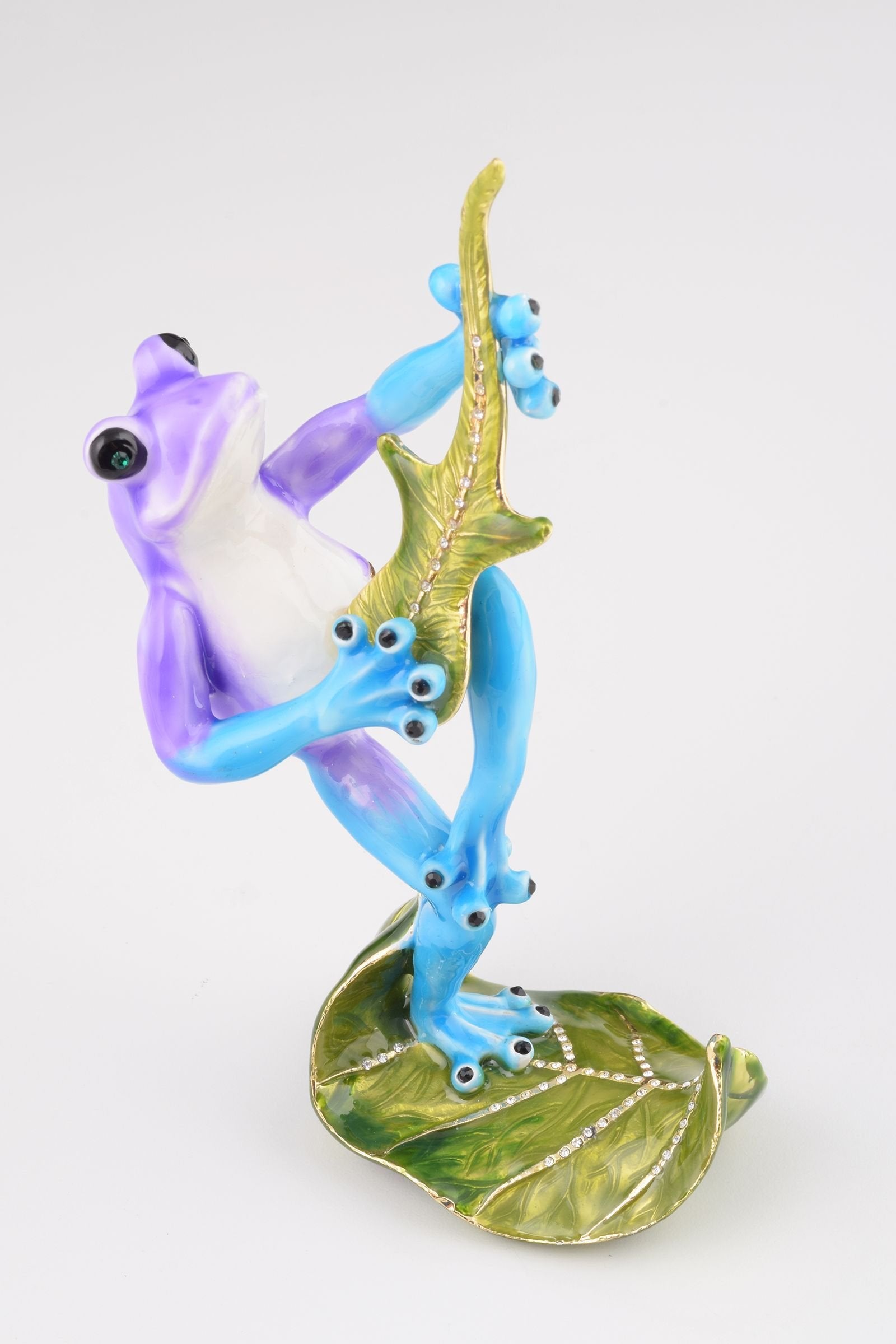 Keren Kopal Guitar Playing Frog