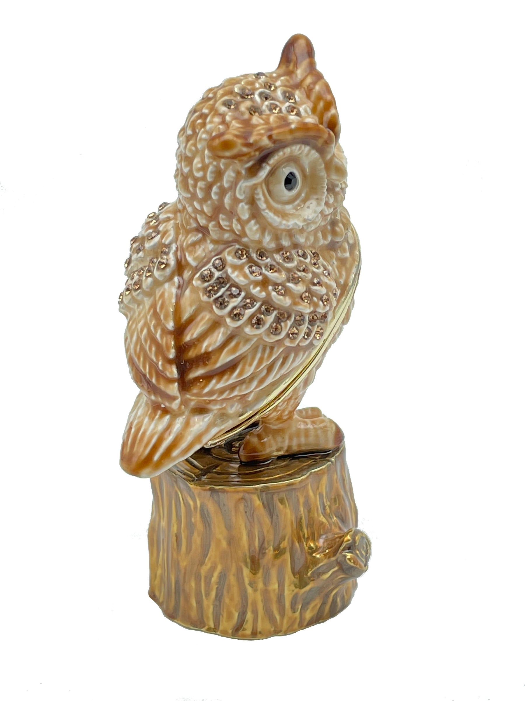 Keren Kopal Brown Owl on a tree log