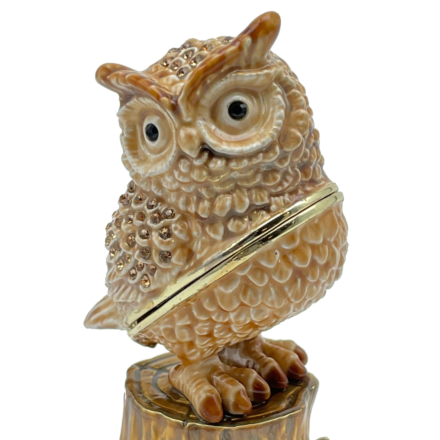 Keren Kopal Brown Owl on a tree log