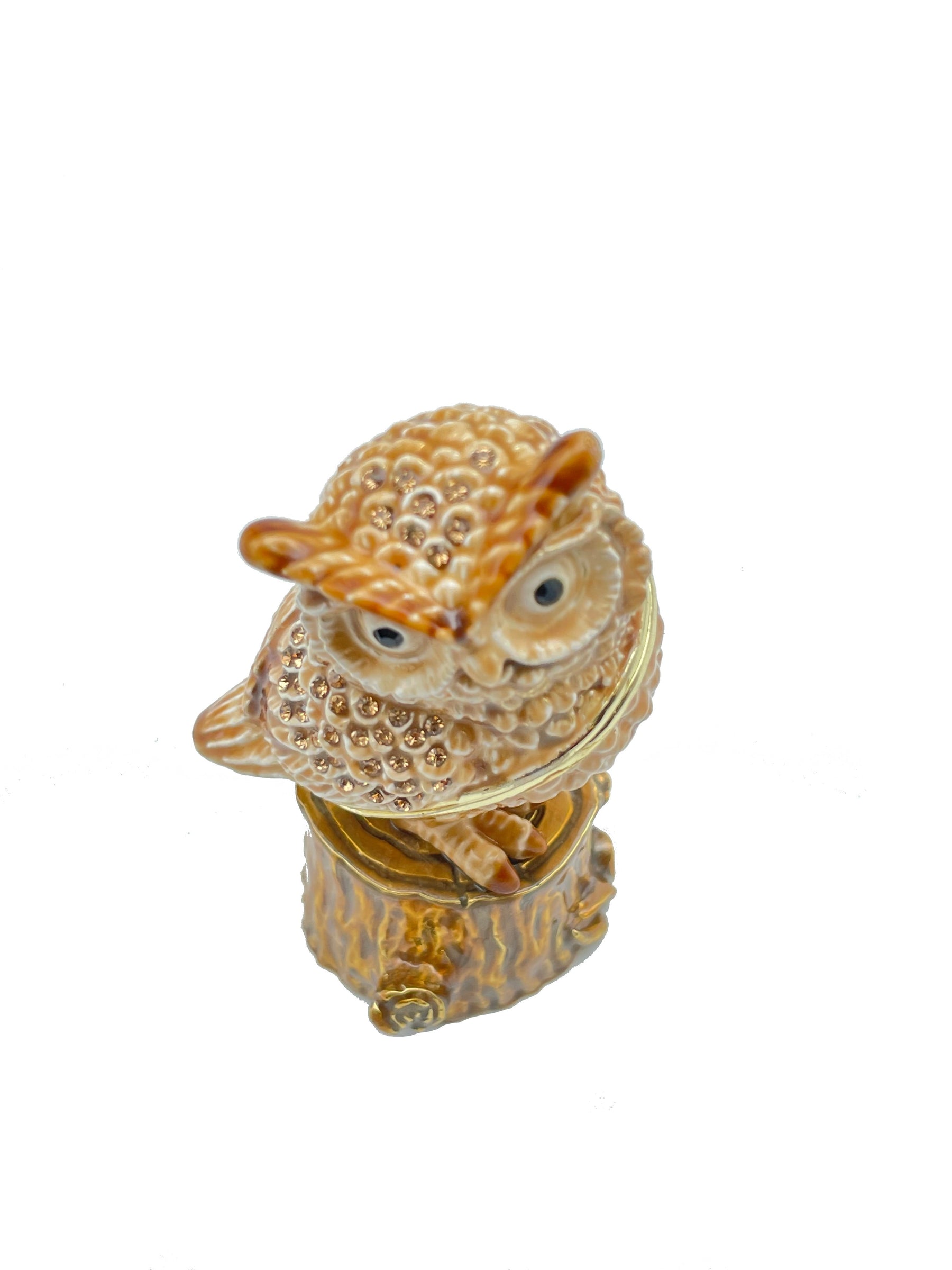 Keren Kopal Brown Owl on a tree log