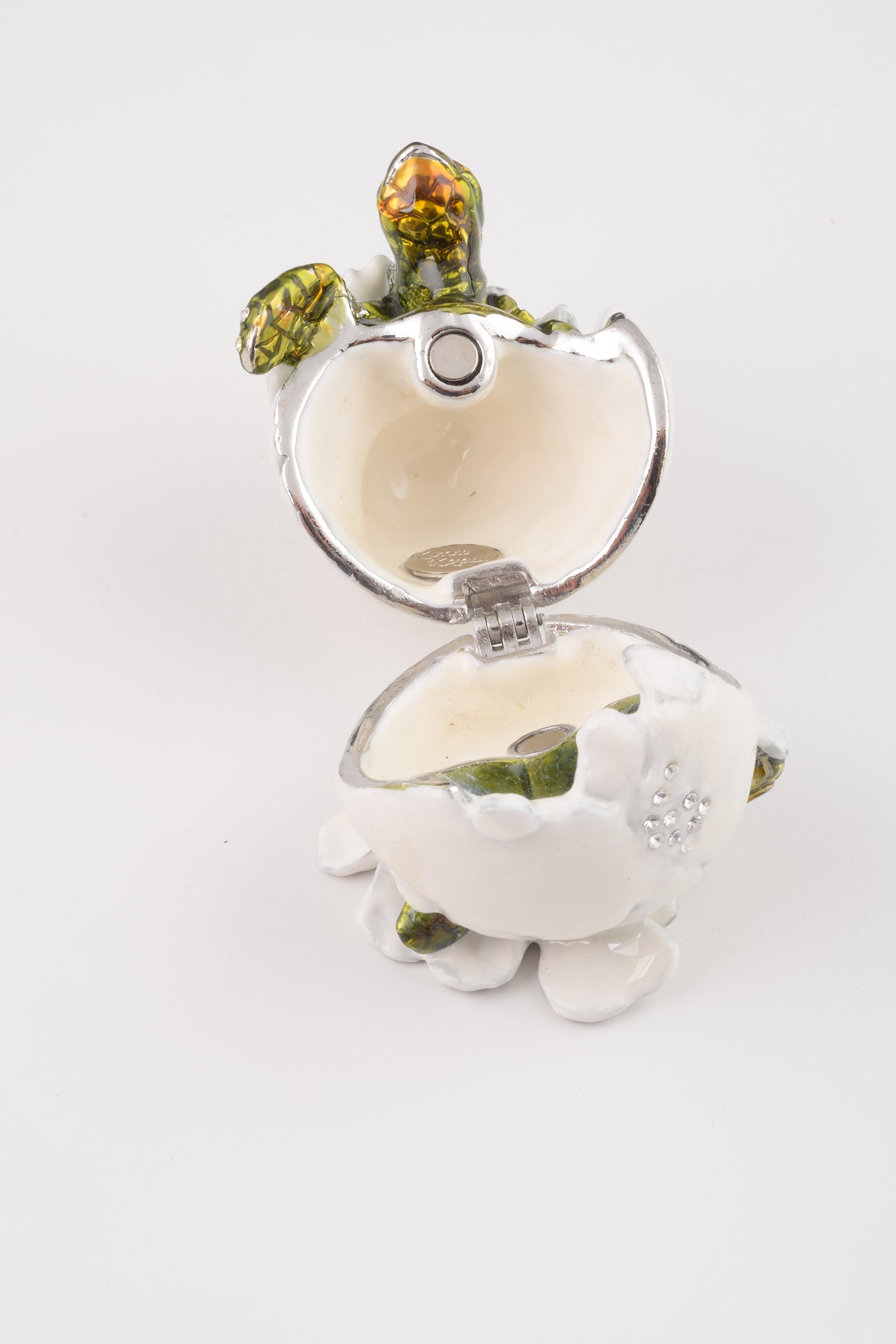 Keren Kopal Baby Turtle in an Egg Shell