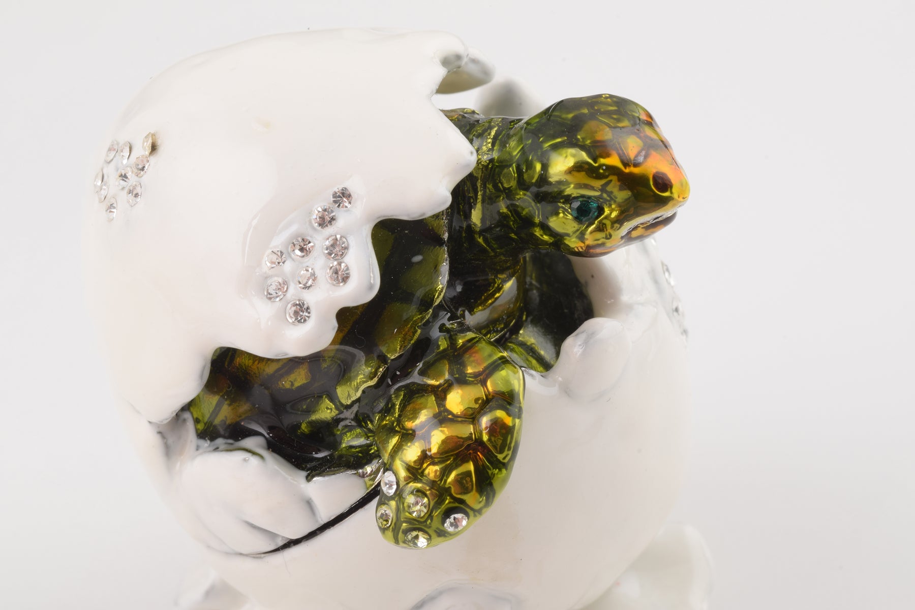 Keren Kopal Baby Turtle in an Egg Shell