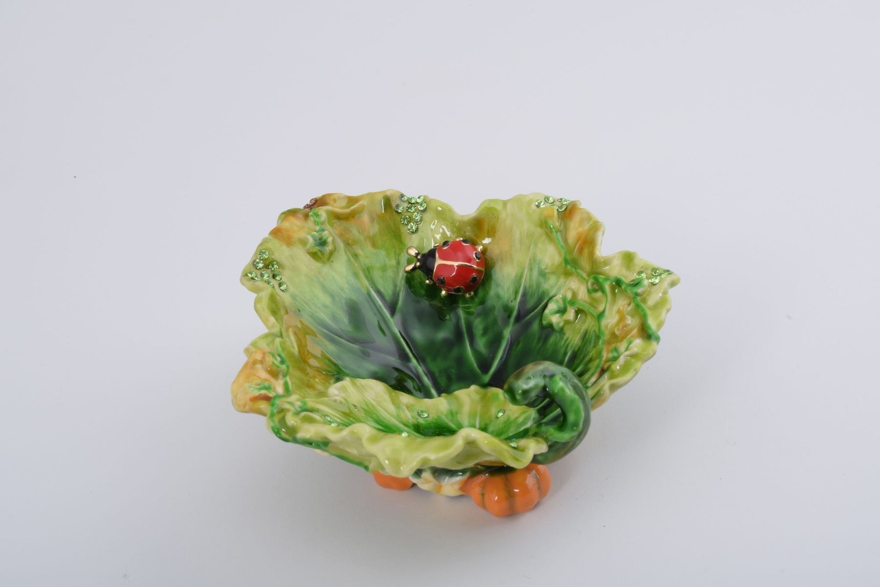 Keren Kopal Lettuce with a Red Ladybug