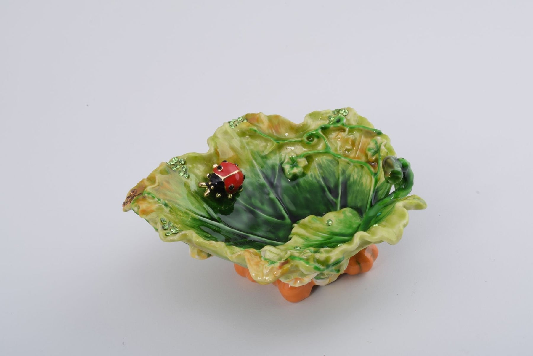 Keren Kopal Lettuce with a Red Ladybug