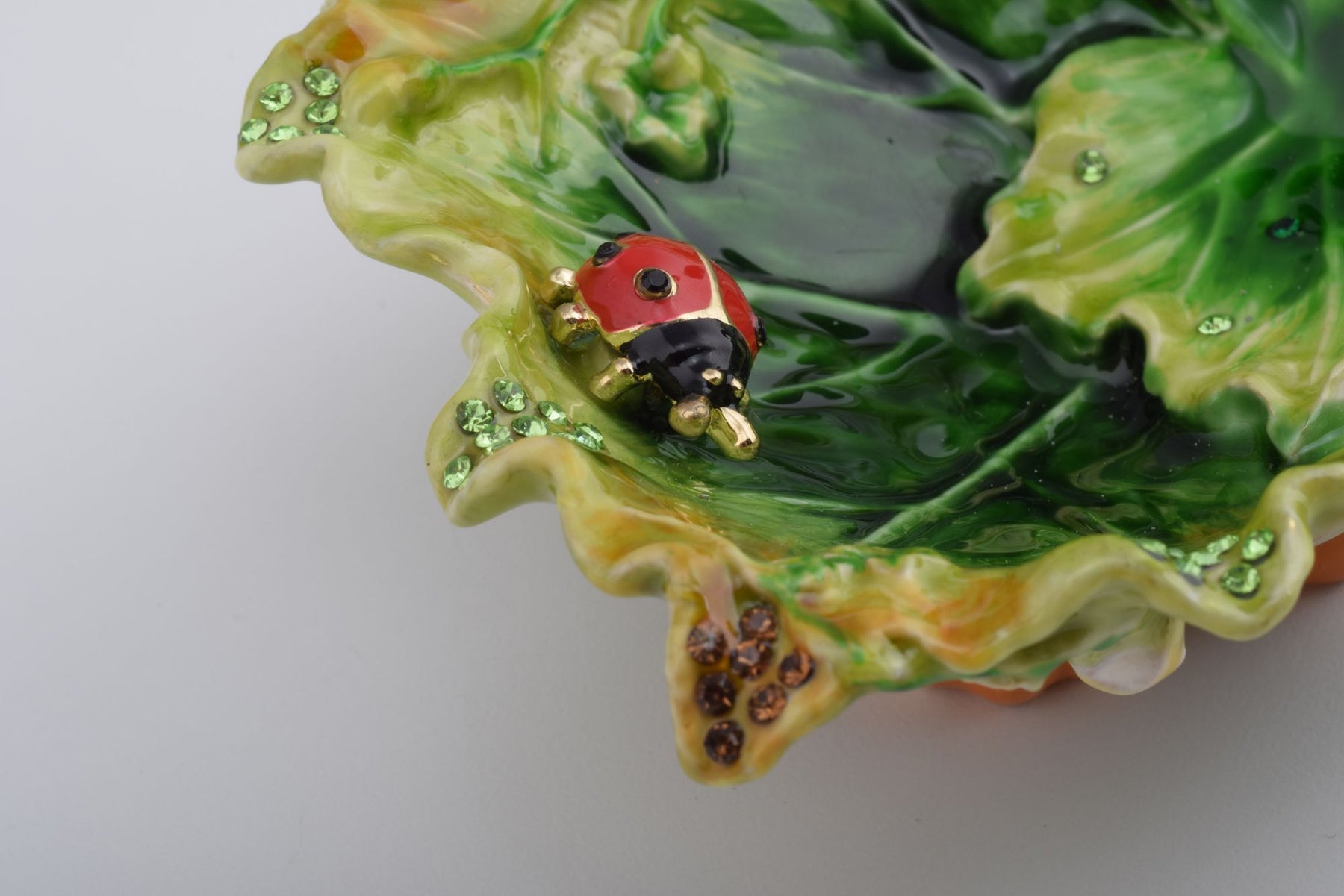 Keren Kopal Lettuce with a Red Ladybug