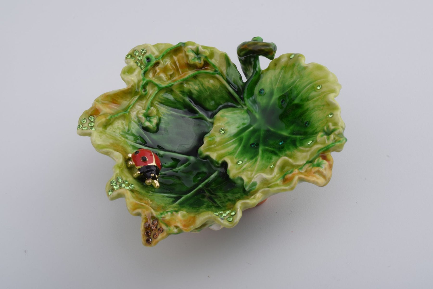 Keren Kopal Lettuce with a Red Ladybug