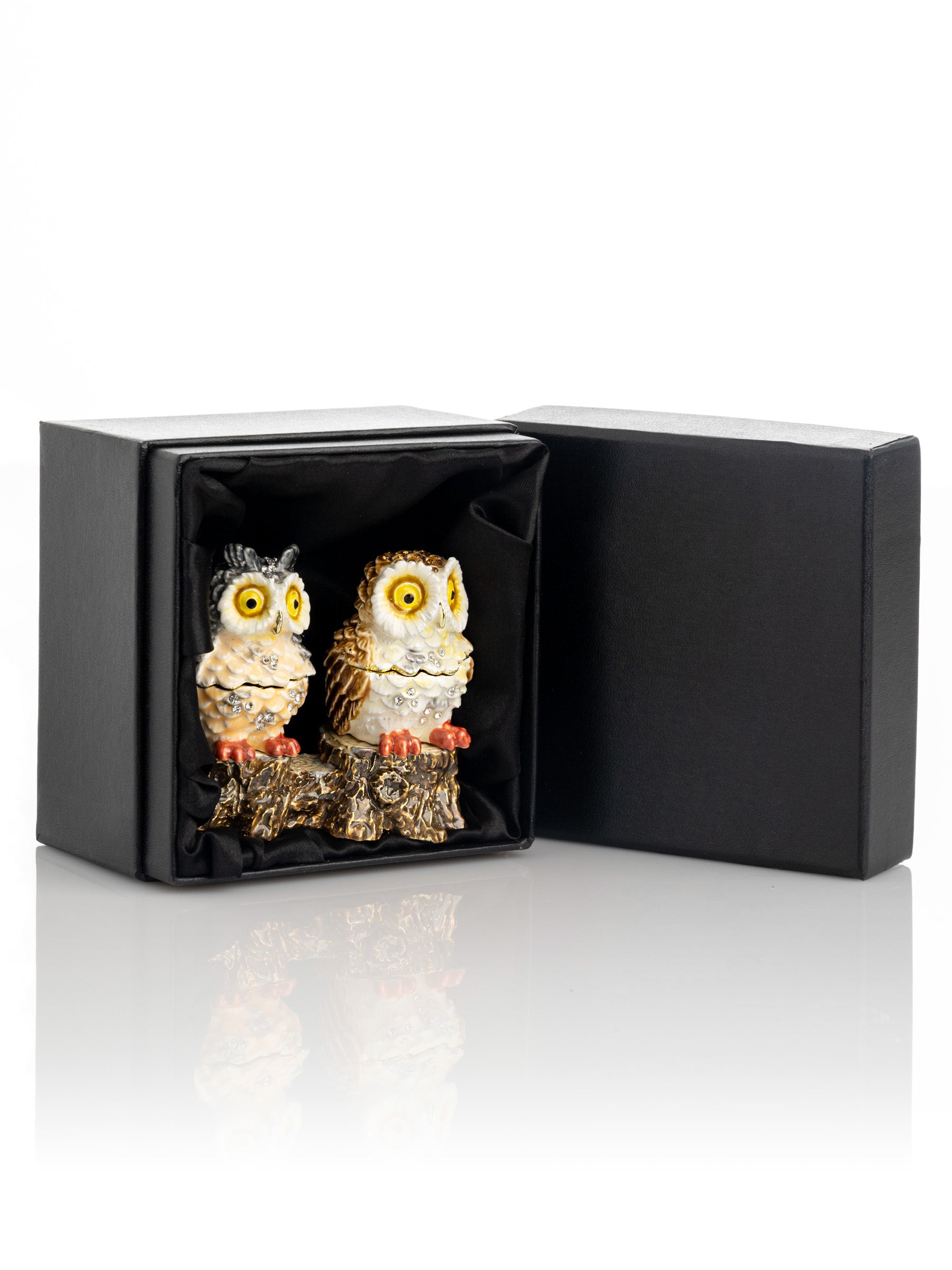Keren Kopal Two Owls Sitting on Tree Trunk