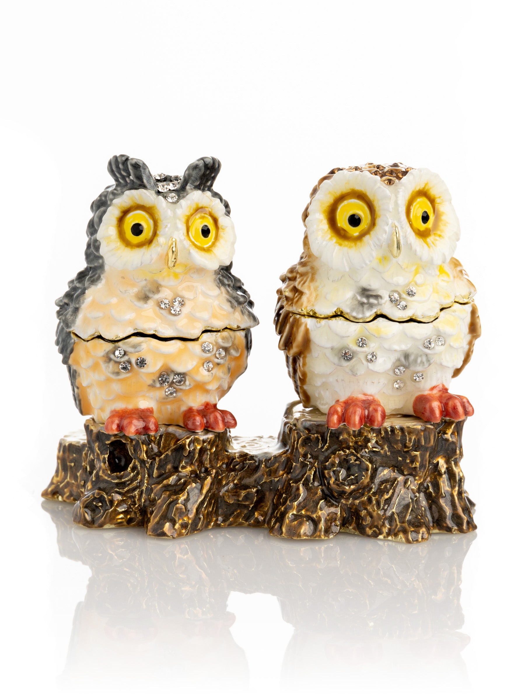 Keren Kopal Two Owls Sitting on Tree Trunk