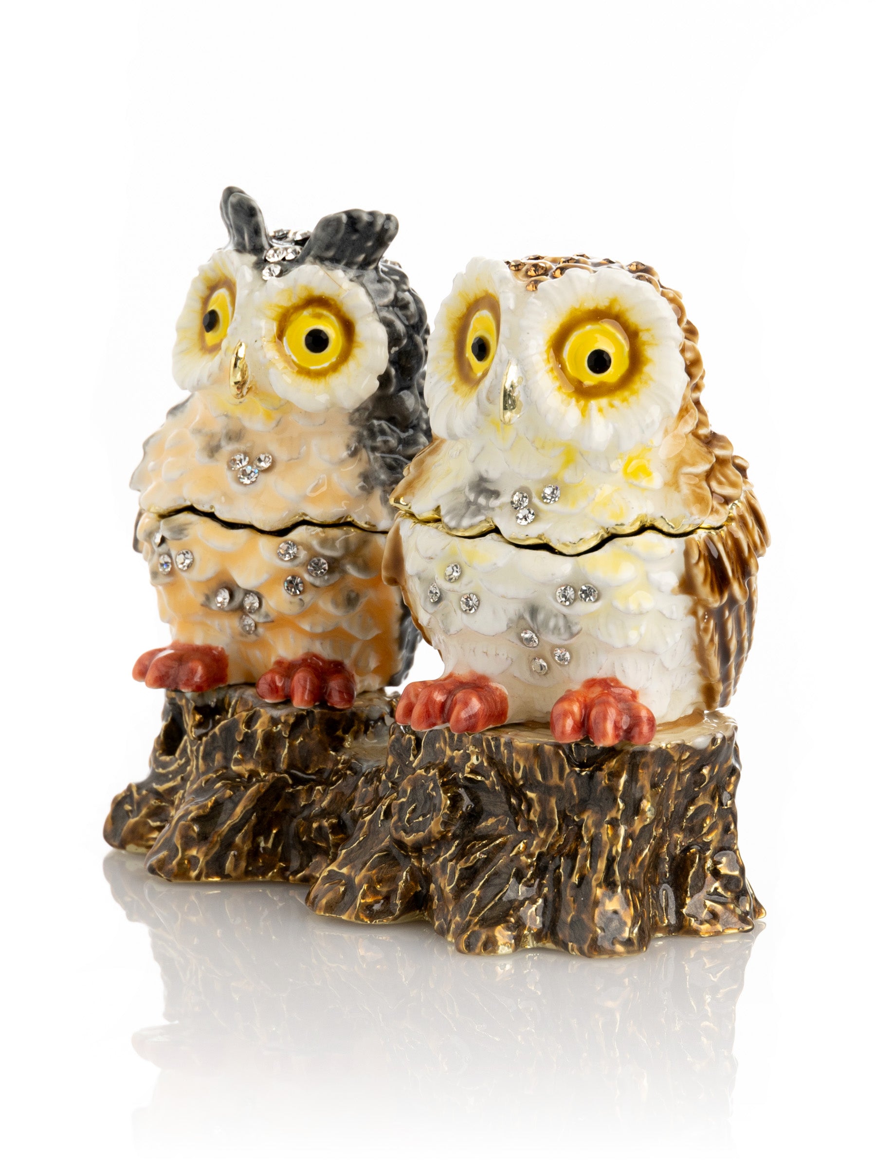 Keren Kopal Two Owls Sitting on Tree Trunk