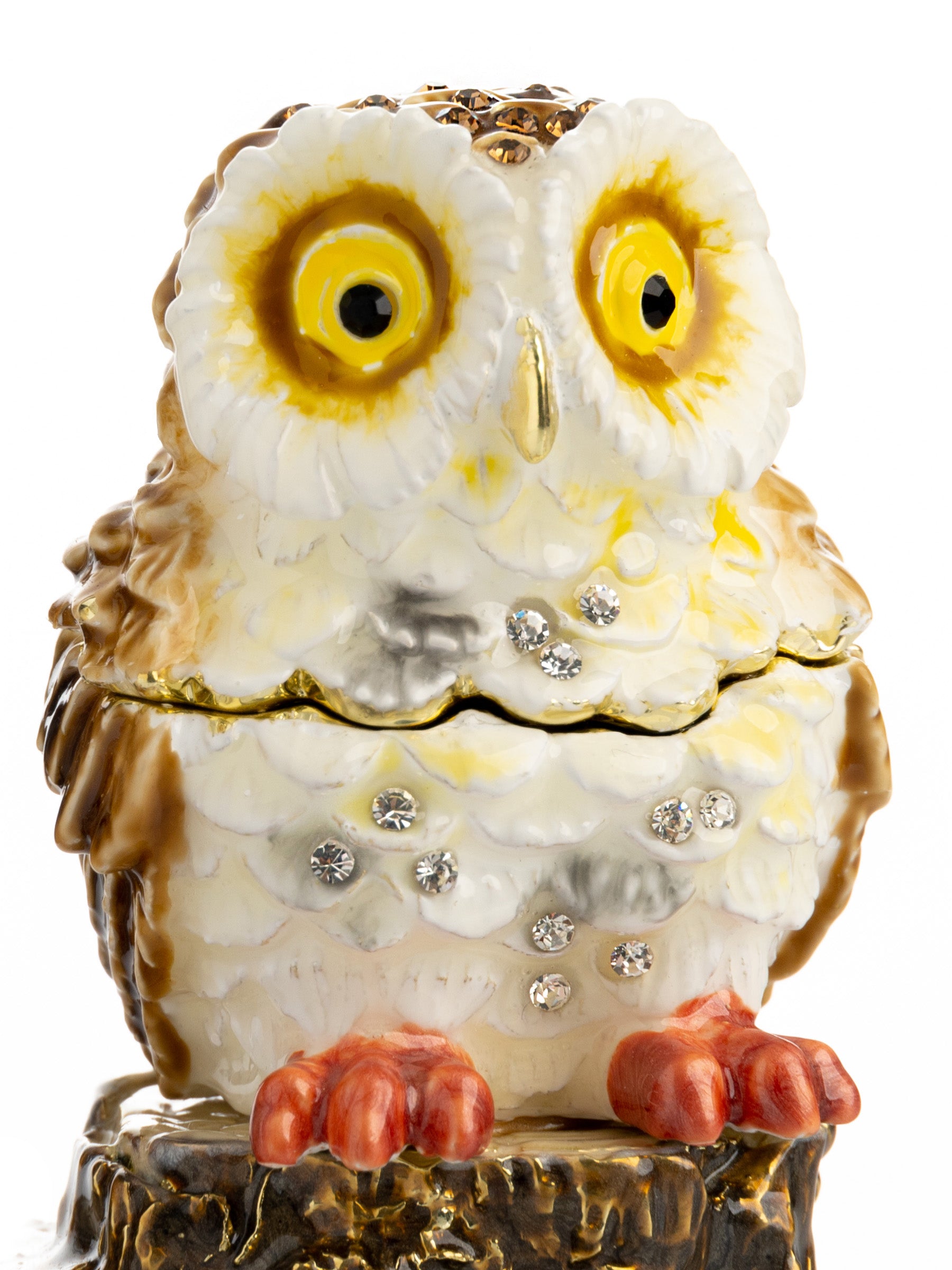 Keren Kopal Two Owls Sitting on Tree Trunk