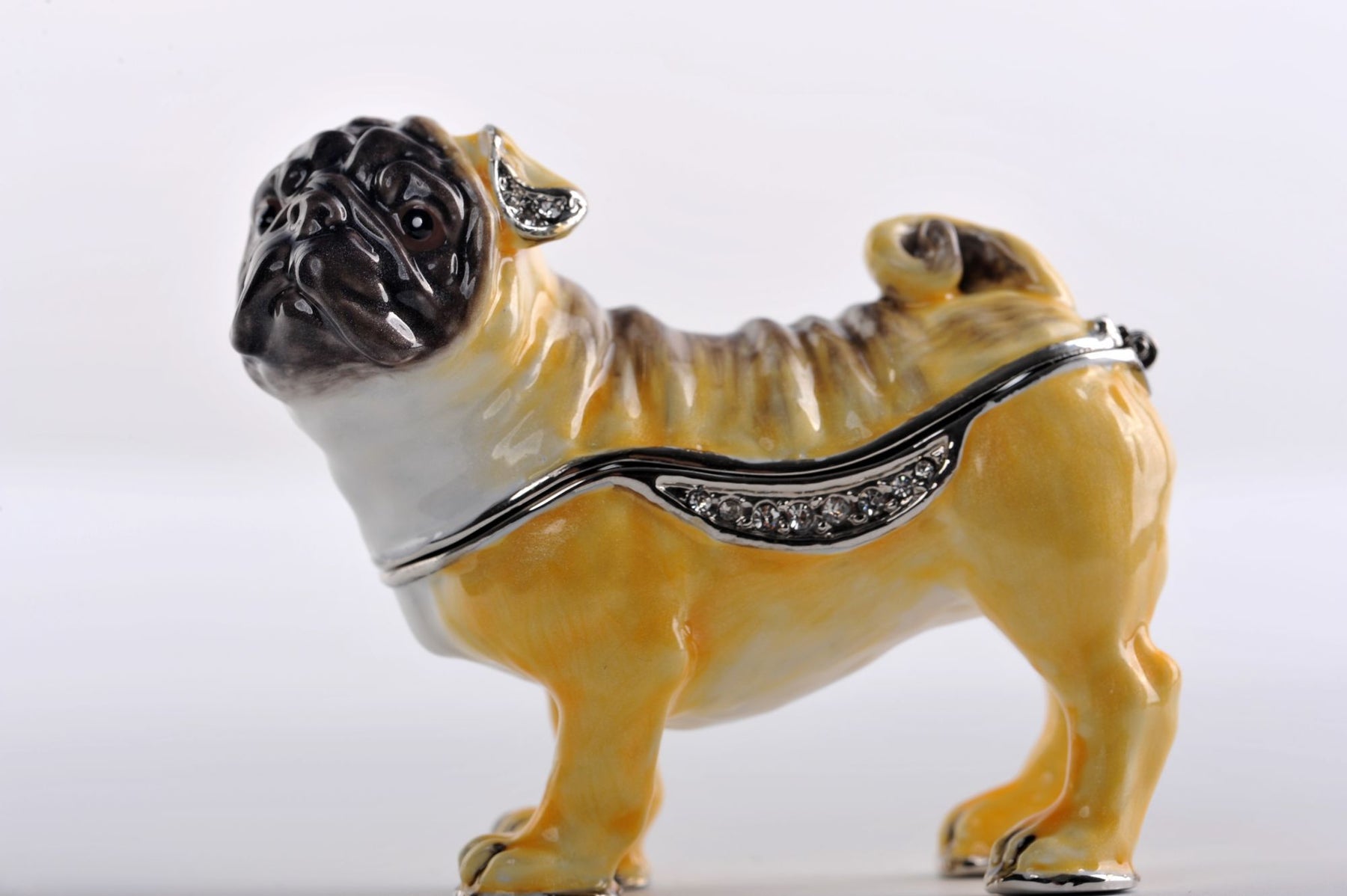 Keren Kopal Pug Dog