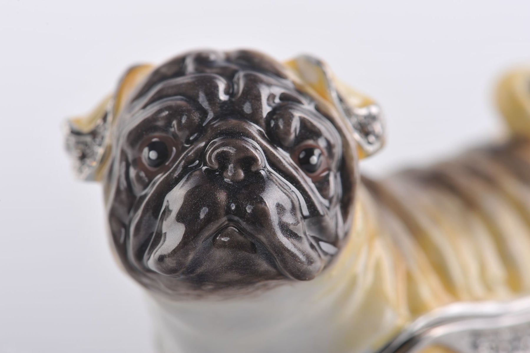 Keren Kopal Pug Dog