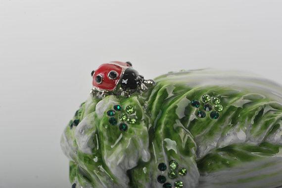 Keren Kopal Red Beetle on Green Cabbage