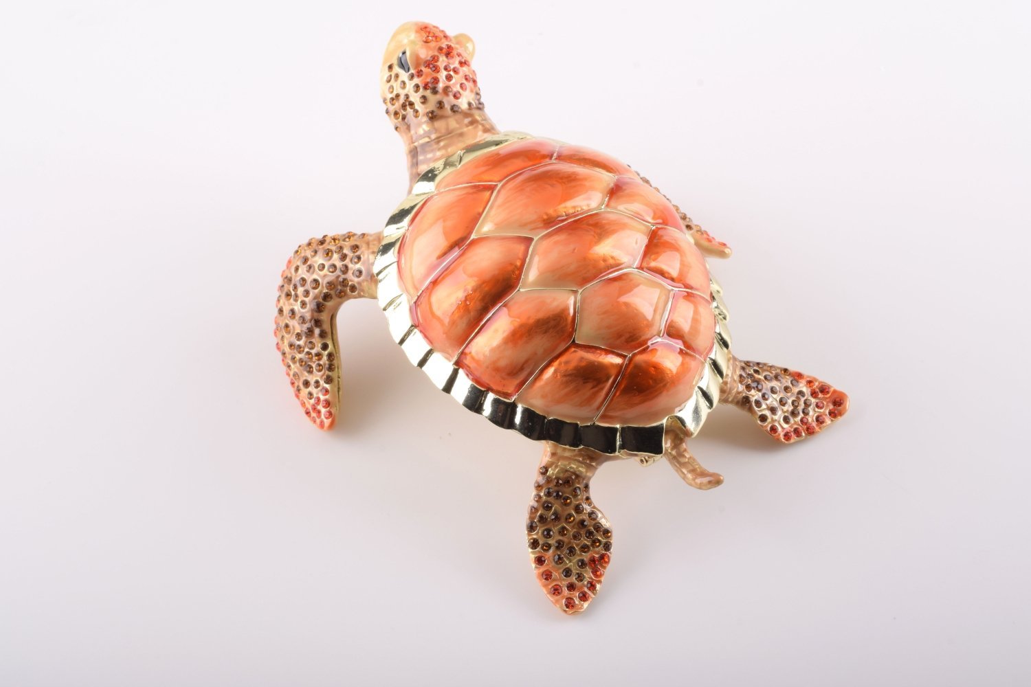 Keren Kopal Red Sea Turtle