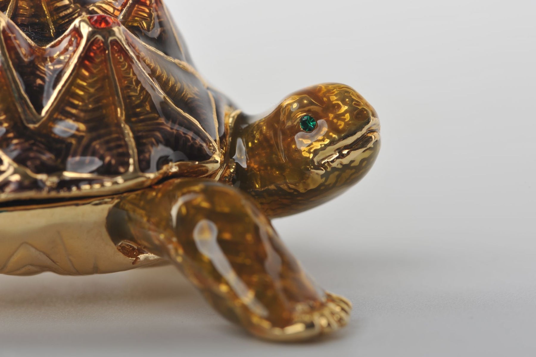 Keren Kopal Rough Shell Turtle