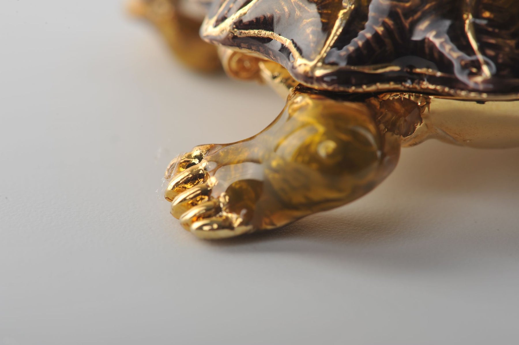 Keren Kopal Rough Shell Turtle