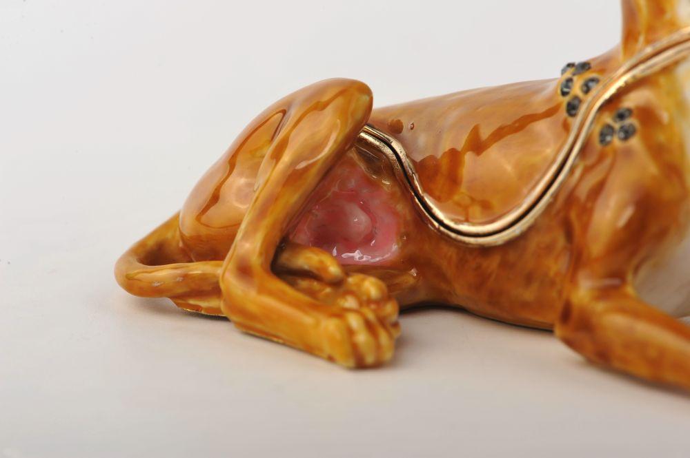 Keren Kopal Sitting Dog