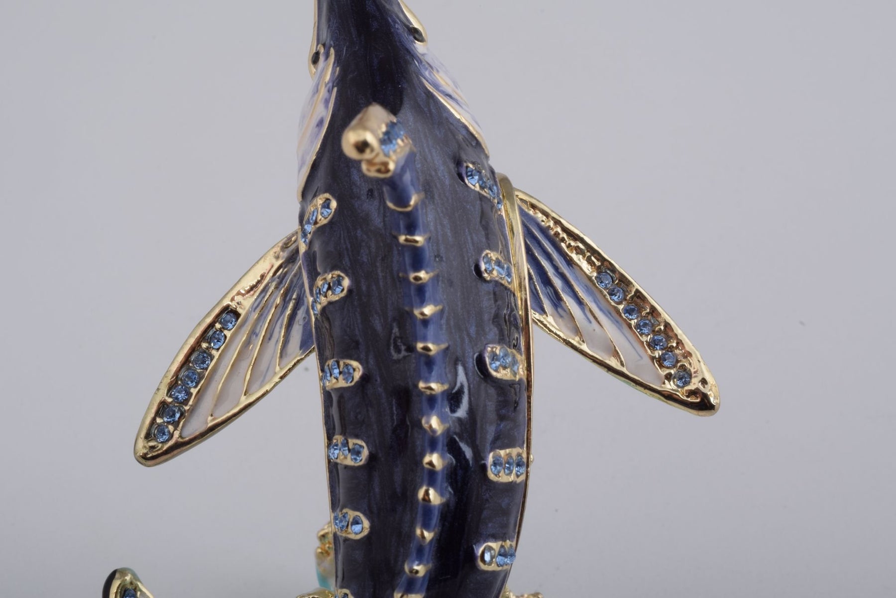 Keren Kopal Swordfish in the Sea