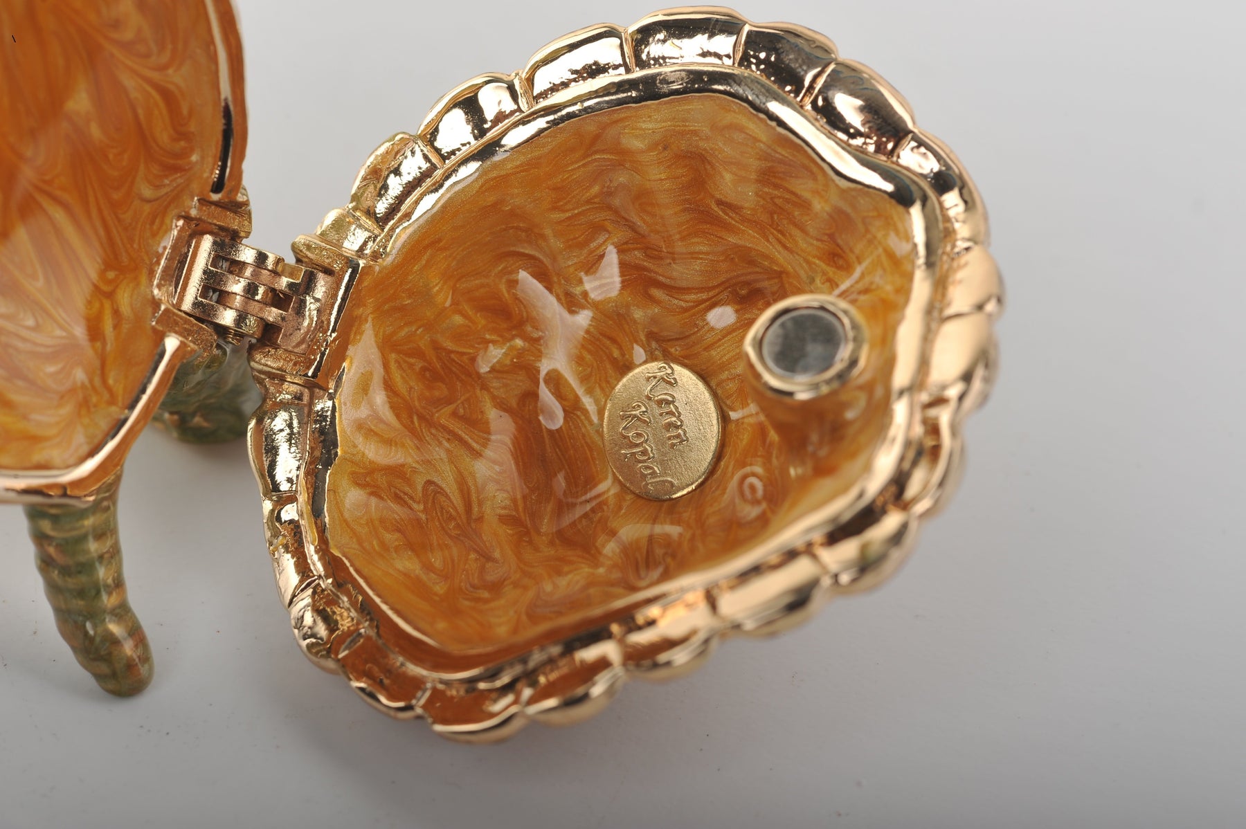 Keren Kopal Turtle Playing the Violin